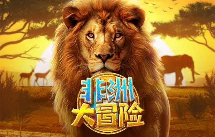 九博体育官网入口